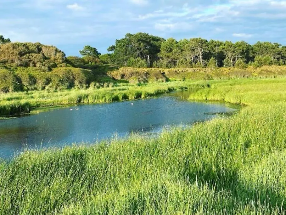 Charmant Penty Breton, Entre Terre Et Mer, Tregunc 0*,
